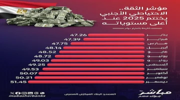 نمو تاريخي.. احتياطي النقد الأجنبي لمصر يسجل قفزة بنسبة 9.2% خلال 2025